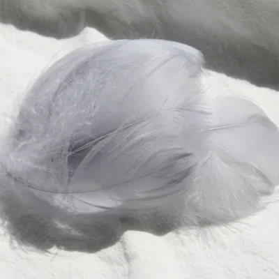 Grey 100pcs