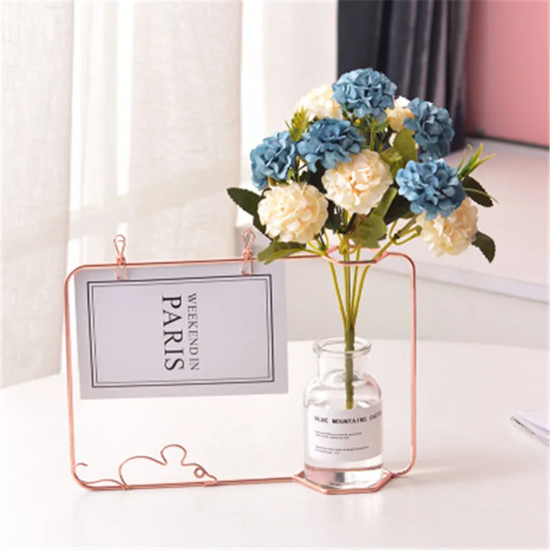 

Norse ins wind office tie yi photo frame decoration of hydropare glass ceramic vase simple iron frame decoration rose gold