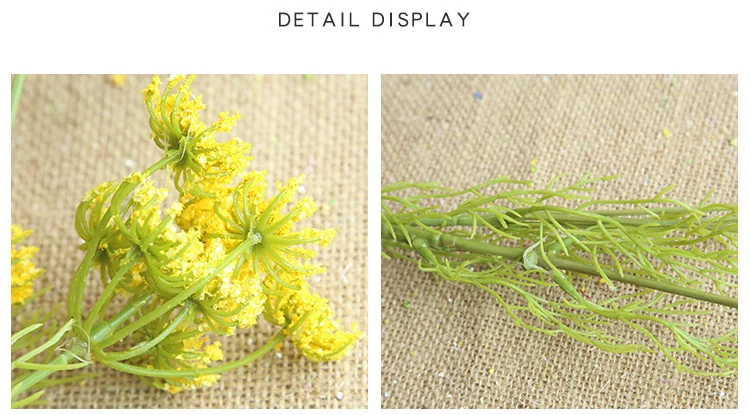 9033344372_1245478559