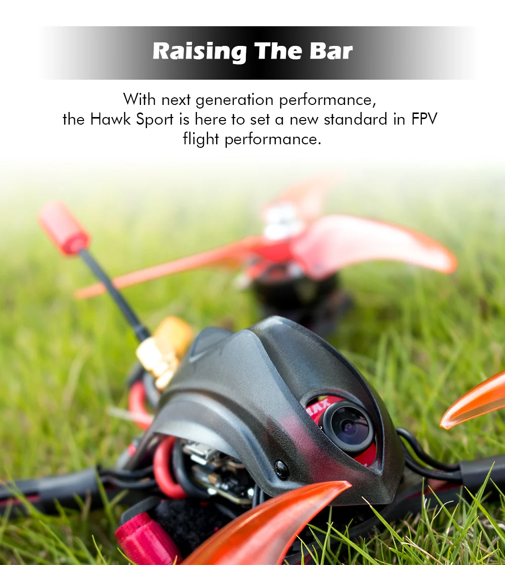 Hawk-Sport_05