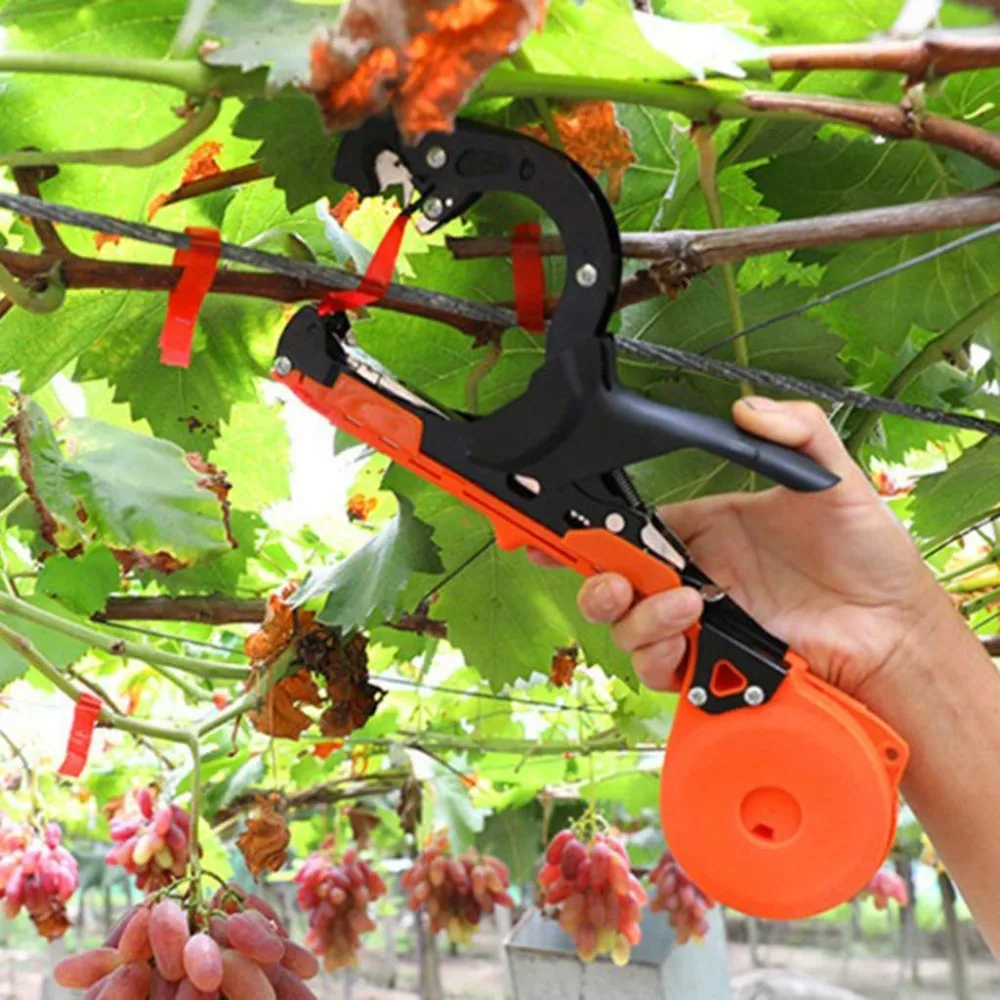 71V9Coukp3L._SL1024_