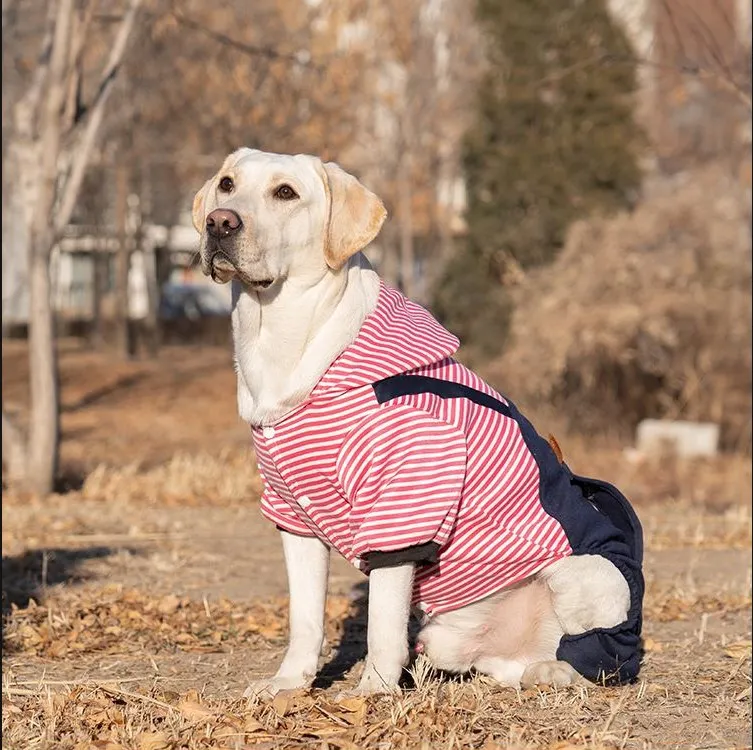 para cães médios e grandes roupas de