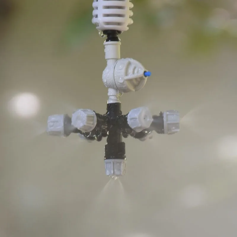 QQ图片20200608210342