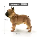 Bulldog- a