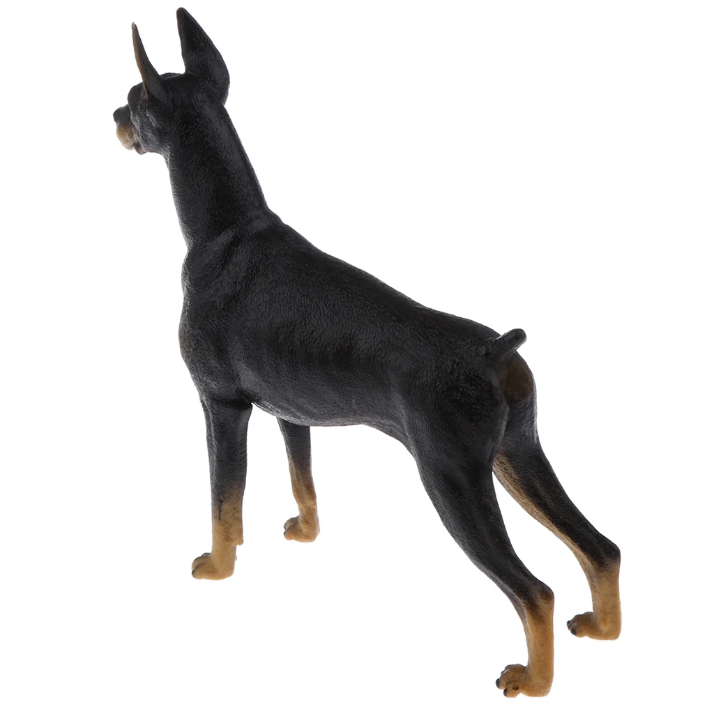 Realistic Doberman Model PVC Farm Animal Model Figurine Action Figures Playset Kids Educational Toy Collectibles