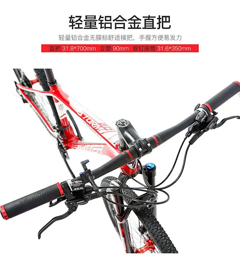 Carbon MTB Bike TWITTER Storm2.0 29\