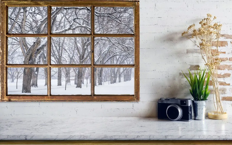 spring-wolf-family-jan-patrik-krasny (2)