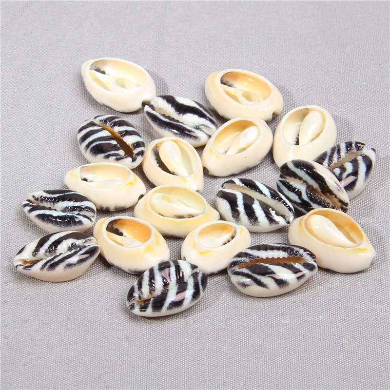 

5pcs zebra sea shell beads Seashells For DIY Handmade Pendant Earring Charms Natural Striated Shell Charm Pendant Home Decor