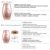 1800000 Flash Permanent IPL Epilator Laser Hair Removal depiladora facial Electric photoepilator Безболезненный эпилятор для Удаления Волос dropship