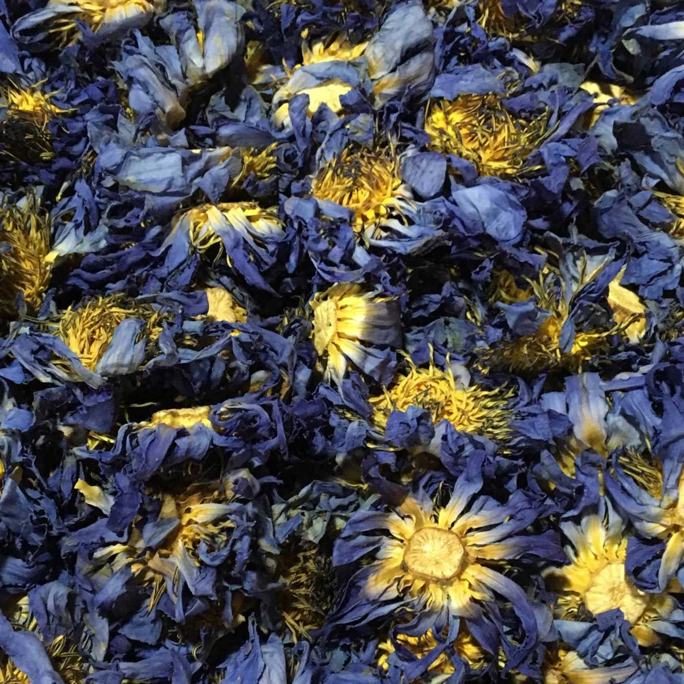 Flor de Loto Azul orgánico, 10g, 50g