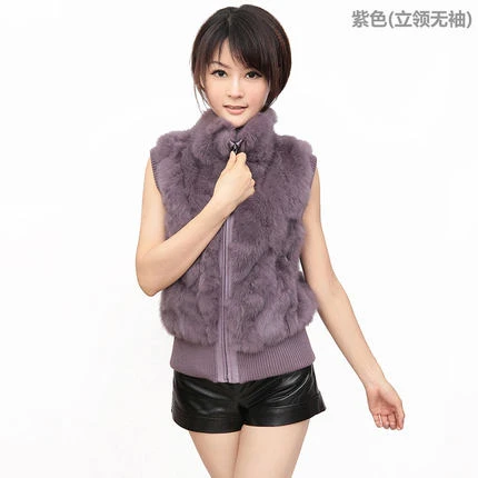 Purple stand collar Модное осеннее меховое пальто, Женское пальто из искусственного меха, короткое пальто без рукавов, новинка, черное, верблюжье, корейское зимнее пальто, женская зимняя куртка - Цвет: Purple stand collar