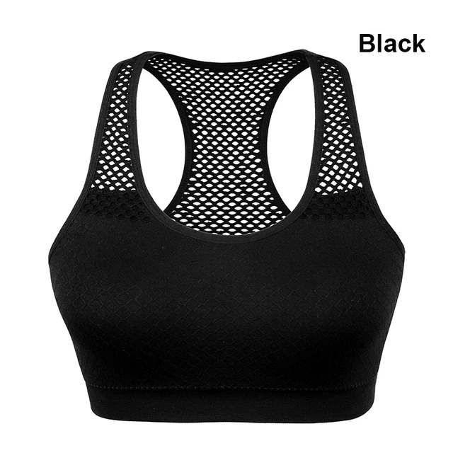 Net Sports Bra