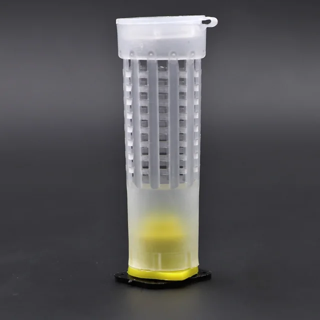 10 db Beaking Tenyésztő Kupa Készlet Queen Méhes Hurgerek Ketrecek Cella Csésze Tartó És Cellás Berendezések Méhészkészülékek - Image 2