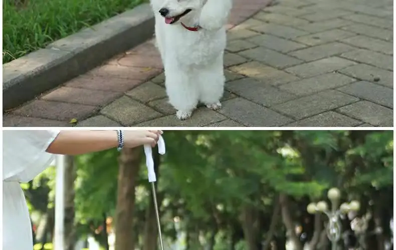 Convenient Transparent Rain Umbrella With A Leash For Dogs