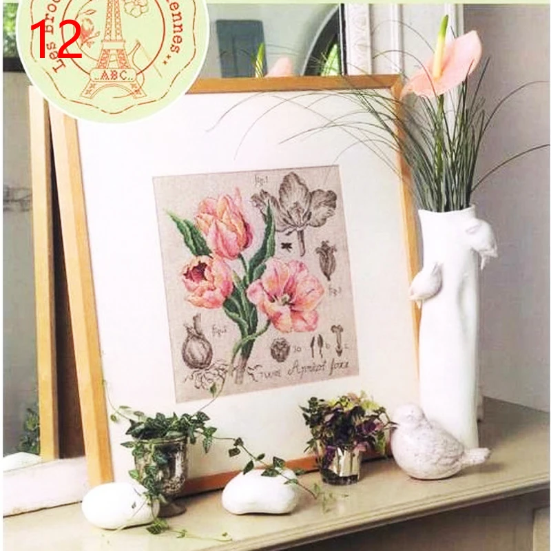 12 DFEA-阴影花系列38罂粟 Etude a la Tulipe. Apricot Foxx