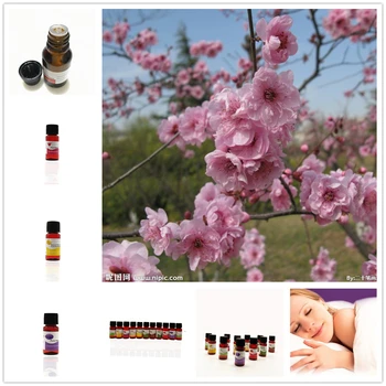 

HANCHAN Chinese Bellflower Essential Oils Massage Humidifier Datura Fragrance Aromatherapy Air Purifier Essential Oils 10ml