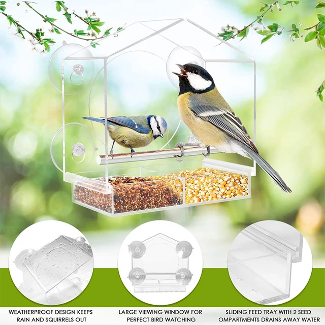 Window Viewing Bird Feeder Hotel Table Seed Peanut Hanging Suction Adsorption Pet Birdhouse Suction Cup Mount House Type Feeder 2