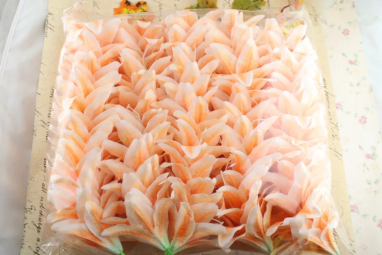 2708559443_1771322019