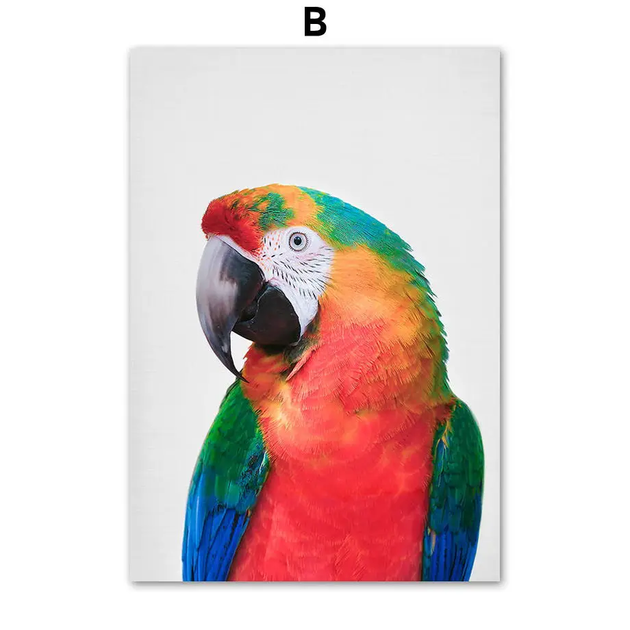 Camelot-Macaws-Cockatoo-Parrot-Wall-Art-Canvas-Painting-Nordic-Posters-And-Prints-Animals-Wall-Pictures-For (2)