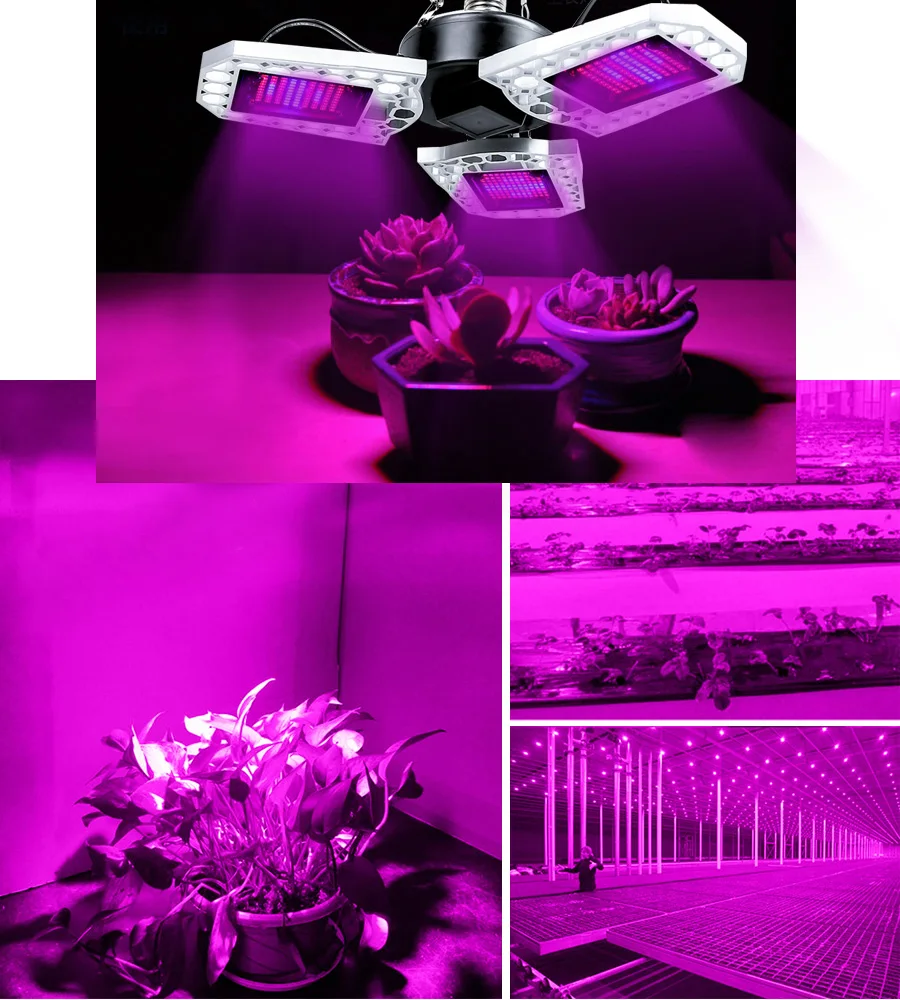 LED Phyto Lamp Plant Growth Light E27 100W 200W 300W Full Spectrum AC100-277V IP65 Indoor Seedlings Flower Grow Tent Box