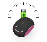 Computer Peripherals