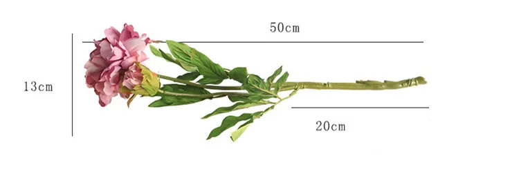 11422785709_1995322644_副本