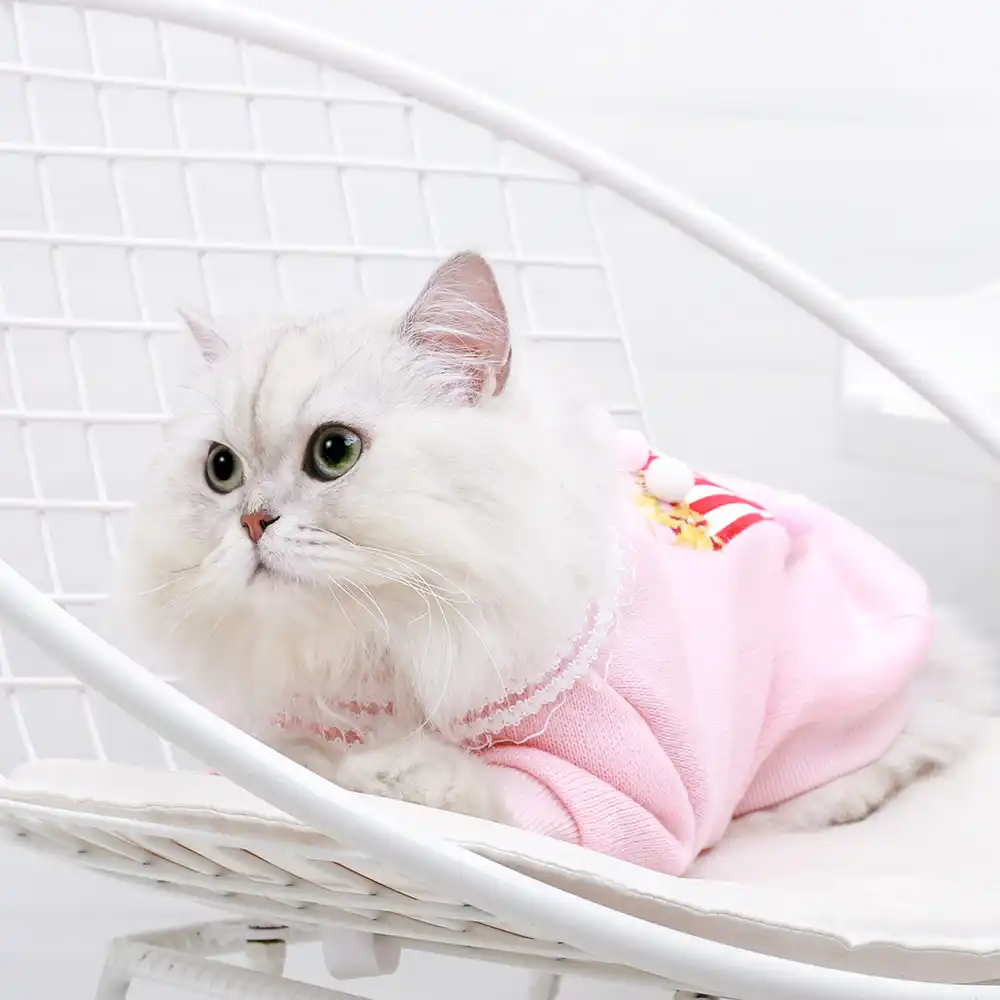 christmas cat suit jacket