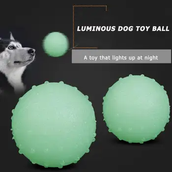 

Pet Dog Toy Night Luminous Ball TPR Bite Resistant Squeeze Toy Seal Anti-stress Fluorescence Gift Dog Puppy Interactive Supplies