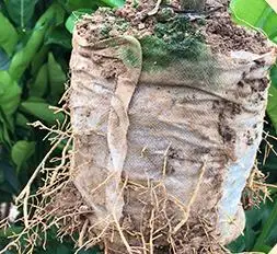 微信截图_20201022171459