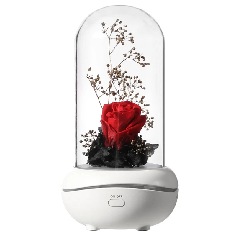 

Creative-Preserved Fresh Flower Fragrance Lamp Colorful Ambience Light USB Aroma Diffuser Household Gift Birthday Gift(Red)