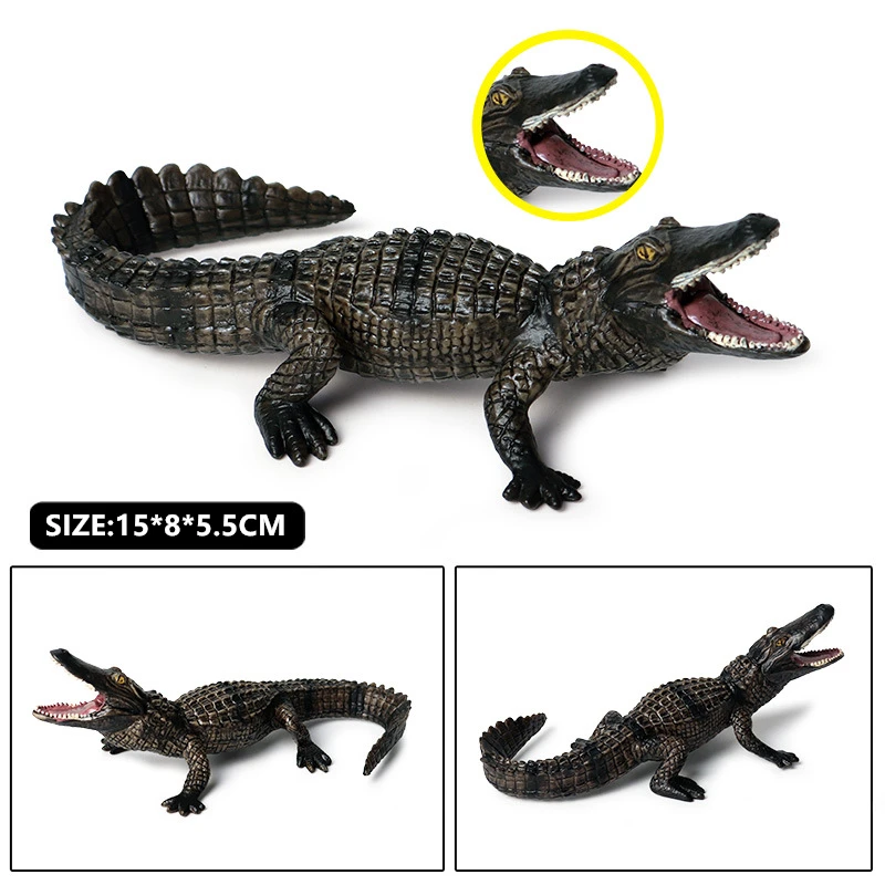 Children's Simulation wild animal model red crocodile Nile crocodile amphibian crocodile model toy Collecting gifts Toy model