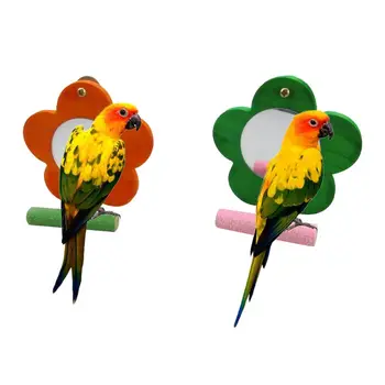 Colorful Wood Bird Parrot Mirror Toy with Perch for Conure Finch Cage Stand Paw Grinding Perch 1