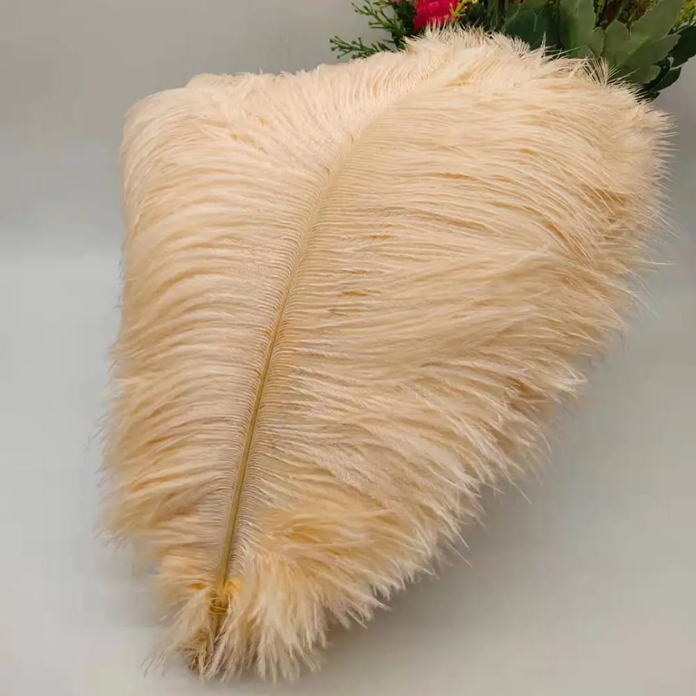 nice naturais penas de avestruz branco para artesanato fantasias de carnaval festa em casa decorações de casamento plumas