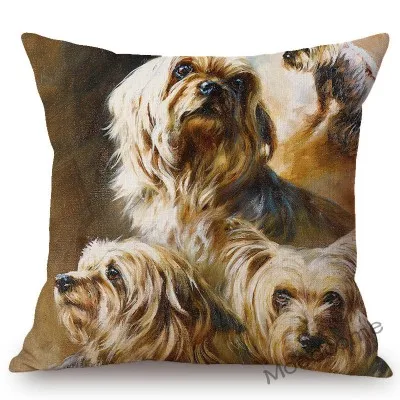 conew_n387 (32) 副本