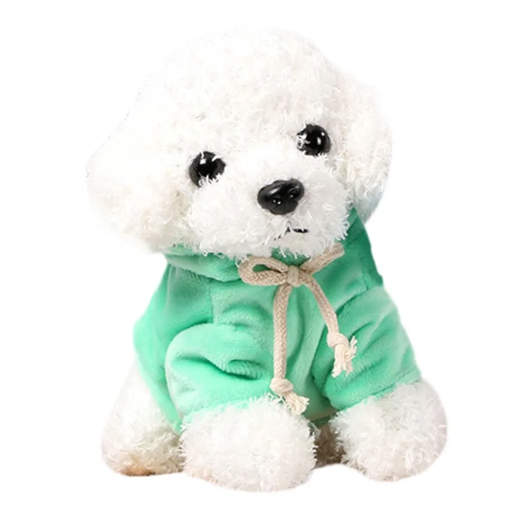 Teddy Dog Rag  (42)