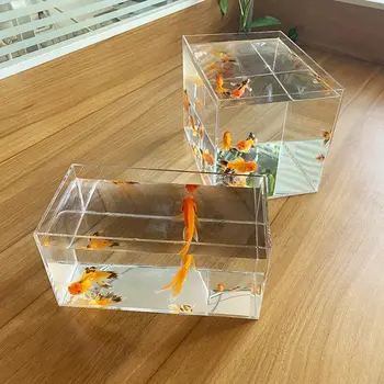 Acquario acrilico Betta Fish Display Rack multi-grid Desktop creativo piccolo serbatoio di pesce isolamento tartaruga serbatoio paesaggio in miniatura