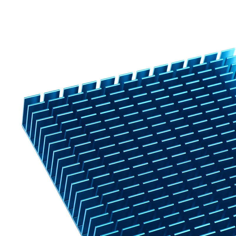 1005003337497666