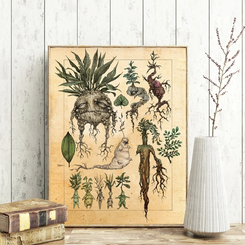 Harry-Fan-Art-Illustration-Cute-Mandrake-Plant-Decor-Canvas-Painting-Wall-Picture-Classic-Movie-Poster-Kids