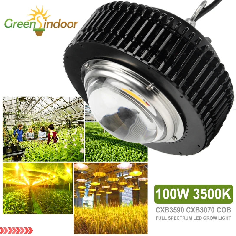 

100W 3500K CXB3590 CXB2530 COB LED Grow Light Lamp Full Spectrum For Plants Indoor Growing Tent Flower Growth Fitolampy Fitolamp