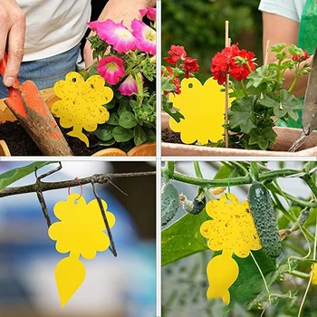 

12Packs Strong Flies Traps Bugs Sticky Board Catching Aphid Insects Control Outdoor Thrip Leafminer Waterproof Traps Sticky