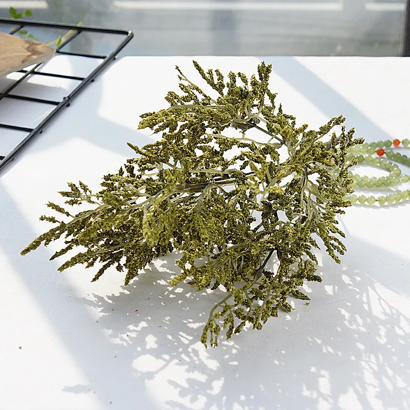 13301917648_874253957