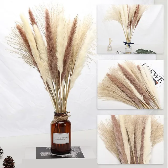 15Pcs Dried Reed Flower Arrangement Natural Pampas Grass For  Modern Home Decoration Party Backdrops Wedding Supplies one bouquet