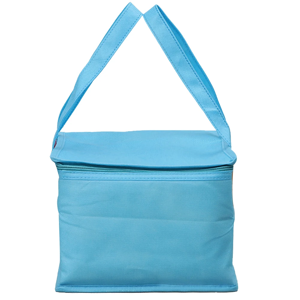 

2PCS Cake Fruit Picnic Supplies Ice Pack Large Capacity Cooler Bag Reusable Double Layer Portable Multi-Purpose Food Insulated