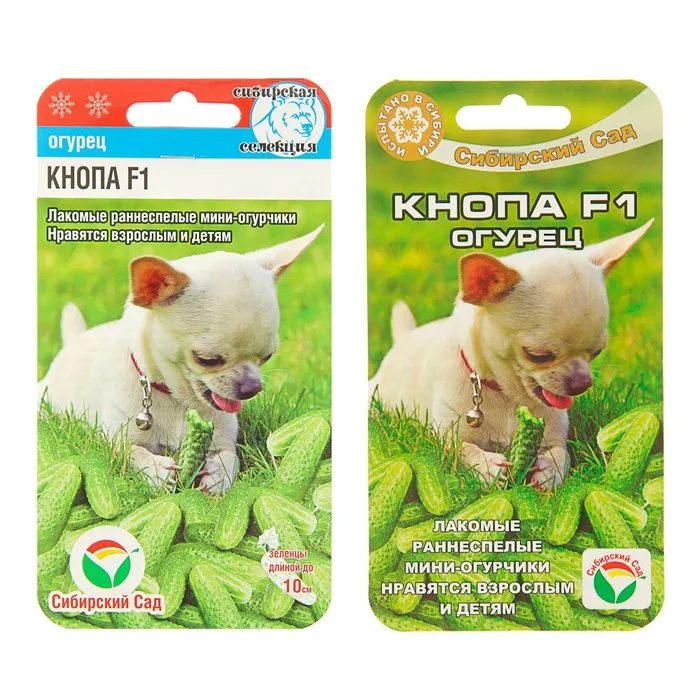 Купить Семена Огурцов Борисыч