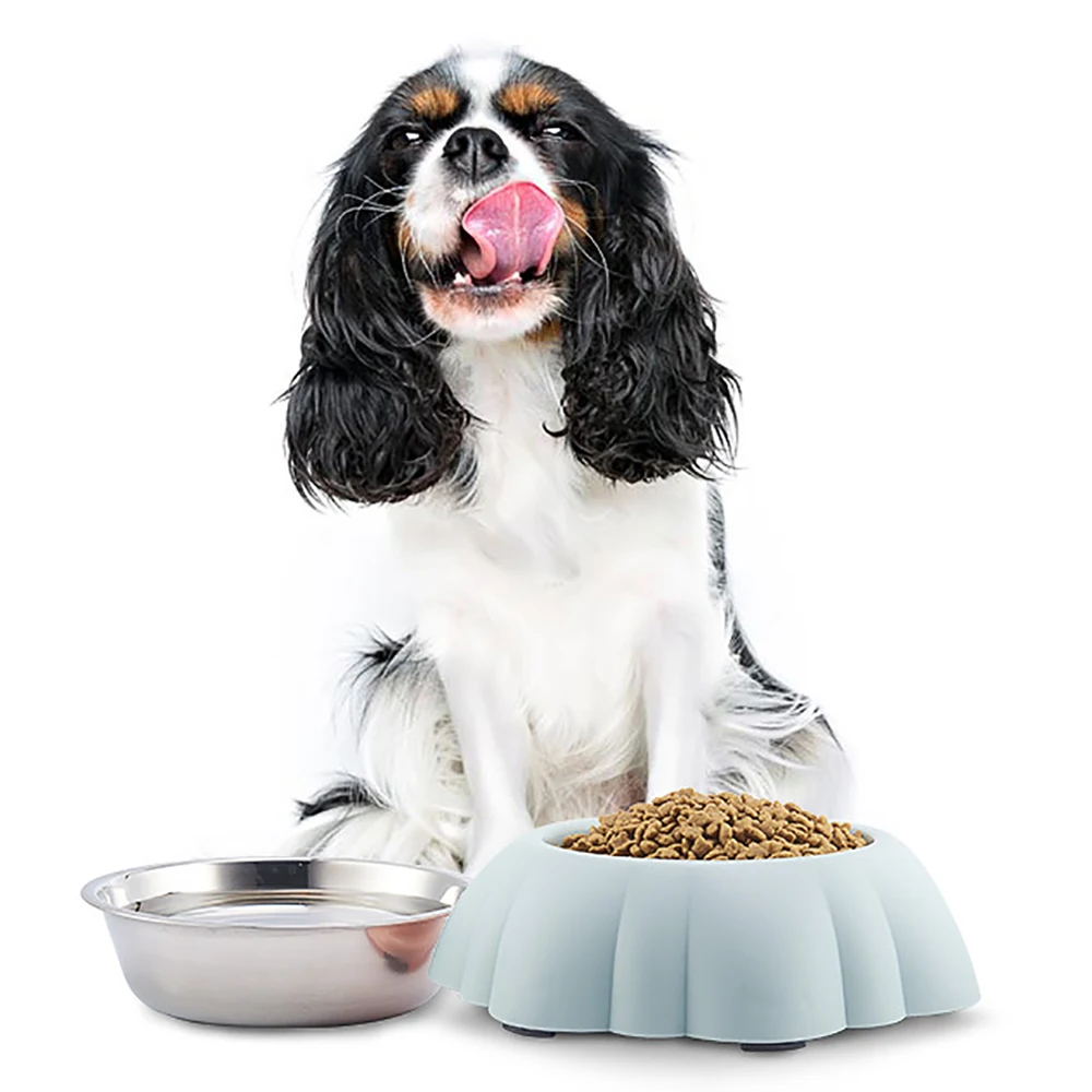 8619560178_1091659485