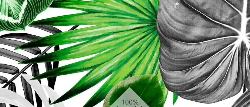 QQ截图20200627170633