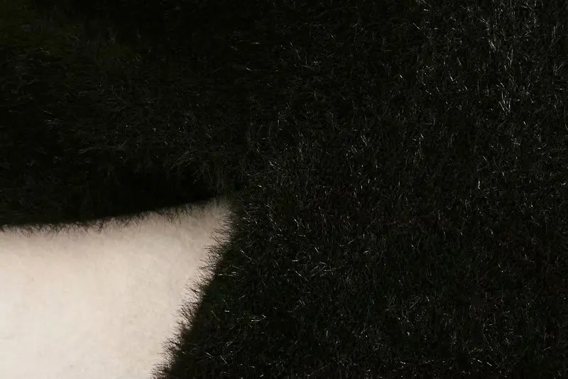 12256804291_1832055227