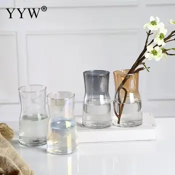 

Nordic Glass Vase For Home Decoration Plant Vases Color Flower Pot Transparent Vase Tabletop Plants Home Bonsai Decor Vases