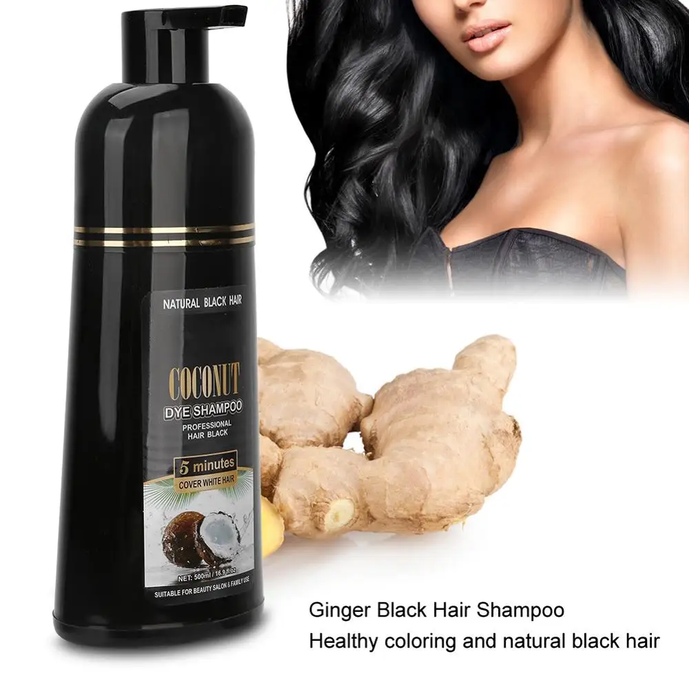 Tintura de Cabelo Cuidados com o Cabelo Coco Gengibre Shampoo Rápido Preto Coloração Nutritivo Ferramenta 500ml