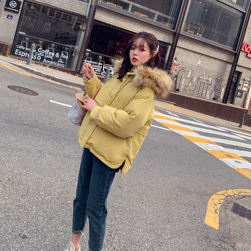 

2018 Autumn And Winter New Style Loose-Fit Large Fur Collar Thick Cotton-padded Clothes Hooded Coat